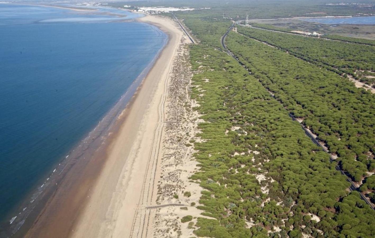 Atlantico * Punta Umbria